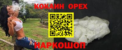 a pvp Новодвинск
