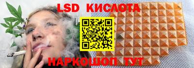 a pvp Новодвинск