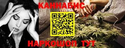 a pvp Новодвинск