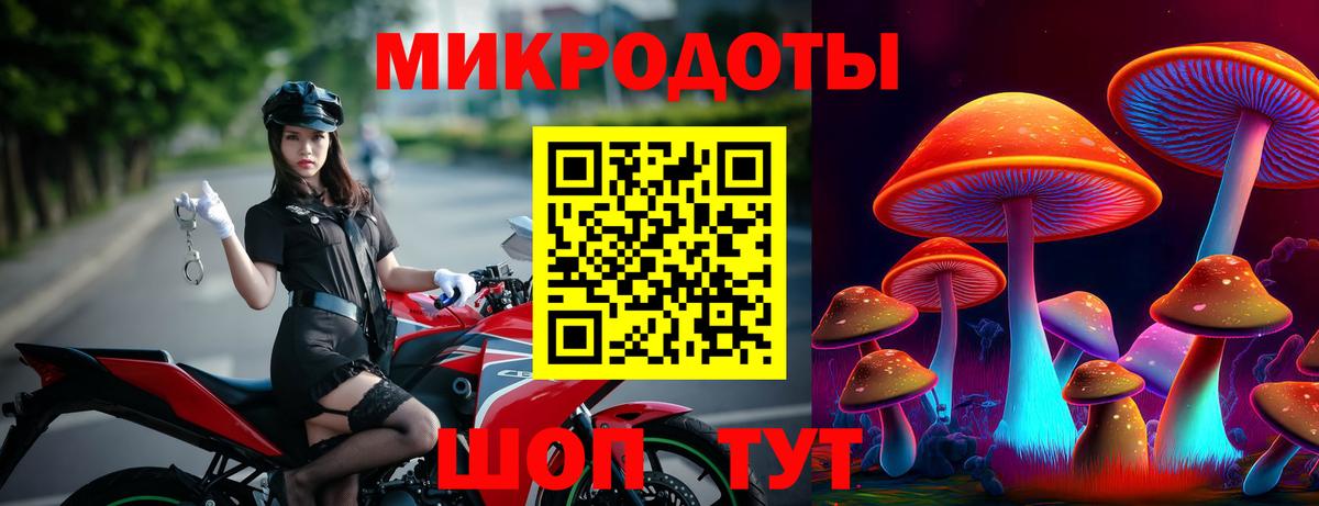 Галлюциногенные грибы Psilocybine cubensis Ступино