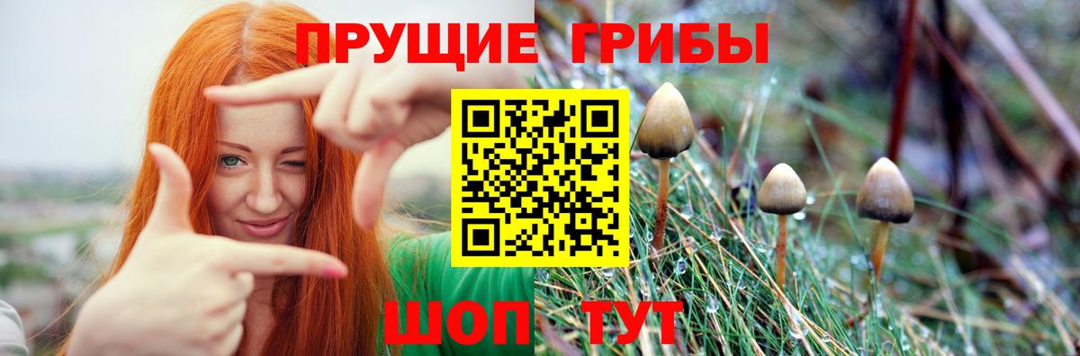 Ступино  Галлюциногенные грибы Magic Shrooms  Вход с VPN  Галлюциногенные грибы Magic Shrooms 